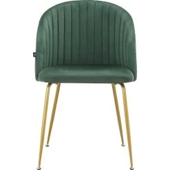 Leonique Esszimmerstuhl »Alain«, 2 St., Veloursstoff, Im 2er Set Erhältlich, Mit Sitz Und Rücken Gepolstert, Sitzhöhe 49 Cm -Möbelhaus 1659dbce03bc41a47e9c0222952b12cf