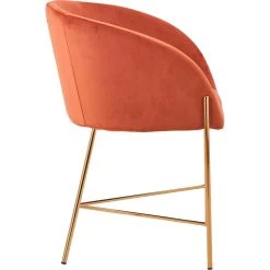 SalesFever Esszimmerstuhl, Samtvelours, Mit Mattschwarzem Metallgestell -Möbelhaus 40462ffe61f0481f26818e66c9daaab0