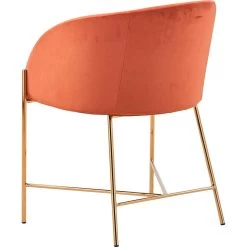 SalesFever Esszimmerstuhl, Samtvelours, Mit Mattschwarzem Metallgestell -Möbelhaus 5c0acd4da47c304a251b69529e86efc0