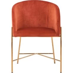 SalesFever Esszimmerstuhl, Samtvelours, Mit Mattschwarzem Metallgestell -Möbelhaus 7815d59409fe3834ad646adc05dc2a55